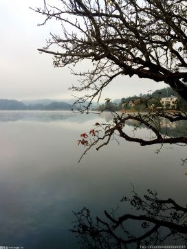 泸沽湖在哪？四川泸沽湖和云南泸沽湖哪个更美？