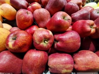 白醋蜂蜜水能减肥吗？苹果醋减肥法有效果吗？