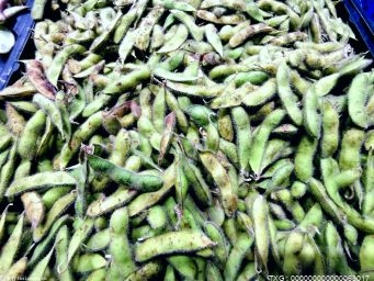 黄豆价格多少钱一斤2023年？黄豆价格的影响因素及未来趋势分析