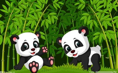 泰国保险公司将为熊猫赔付1500万泰铢是真的吗？大熊猫林惠简介